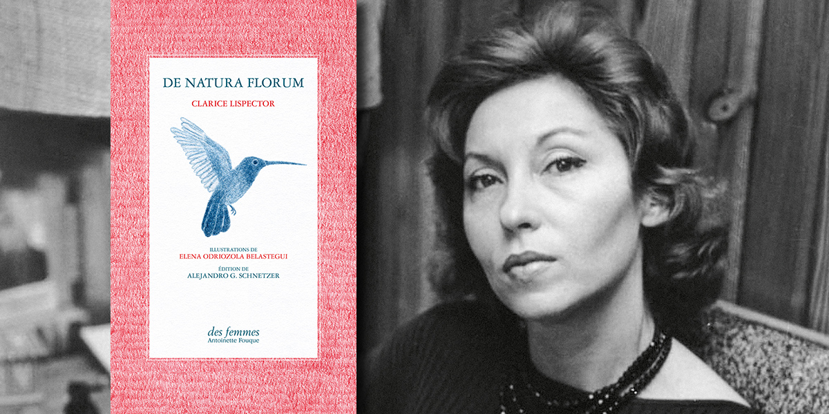 De natura florum de Clarice Lispector Éditions des femmes